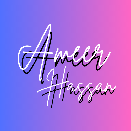 Ameer Hassan Picture